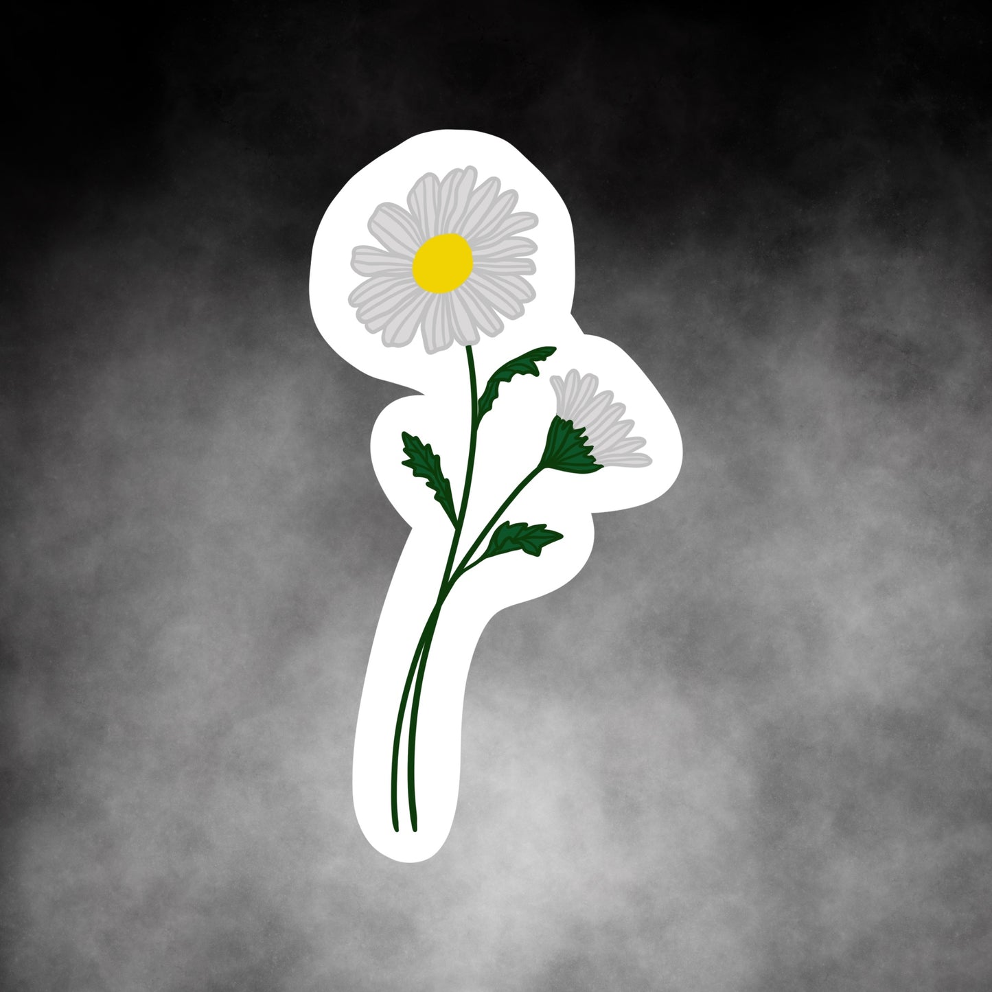 Birth Month Flowers