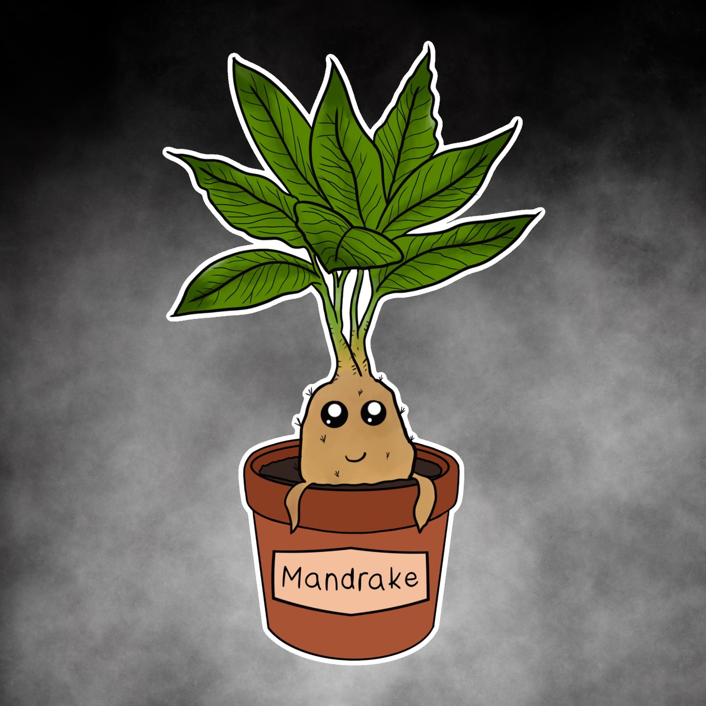 Mandrake