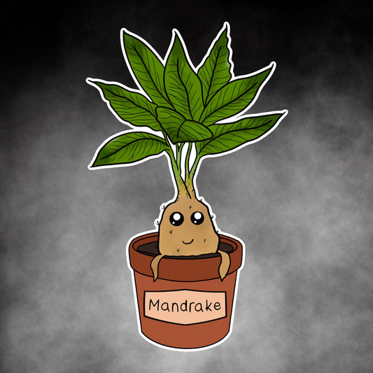 Mandrake
