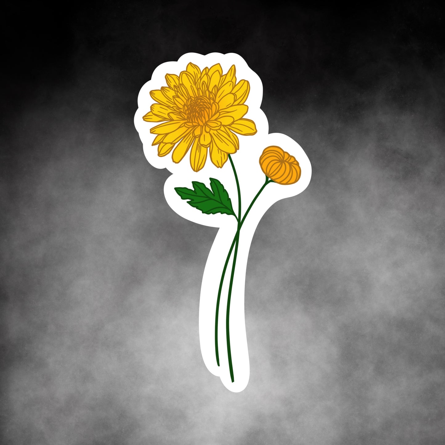 Birth Month Flowers